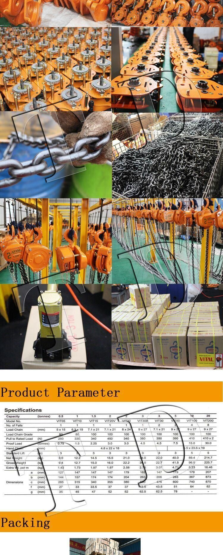 Vital Brand Japan Chain Block Chain Hoist with Ce Market Chain Hoist