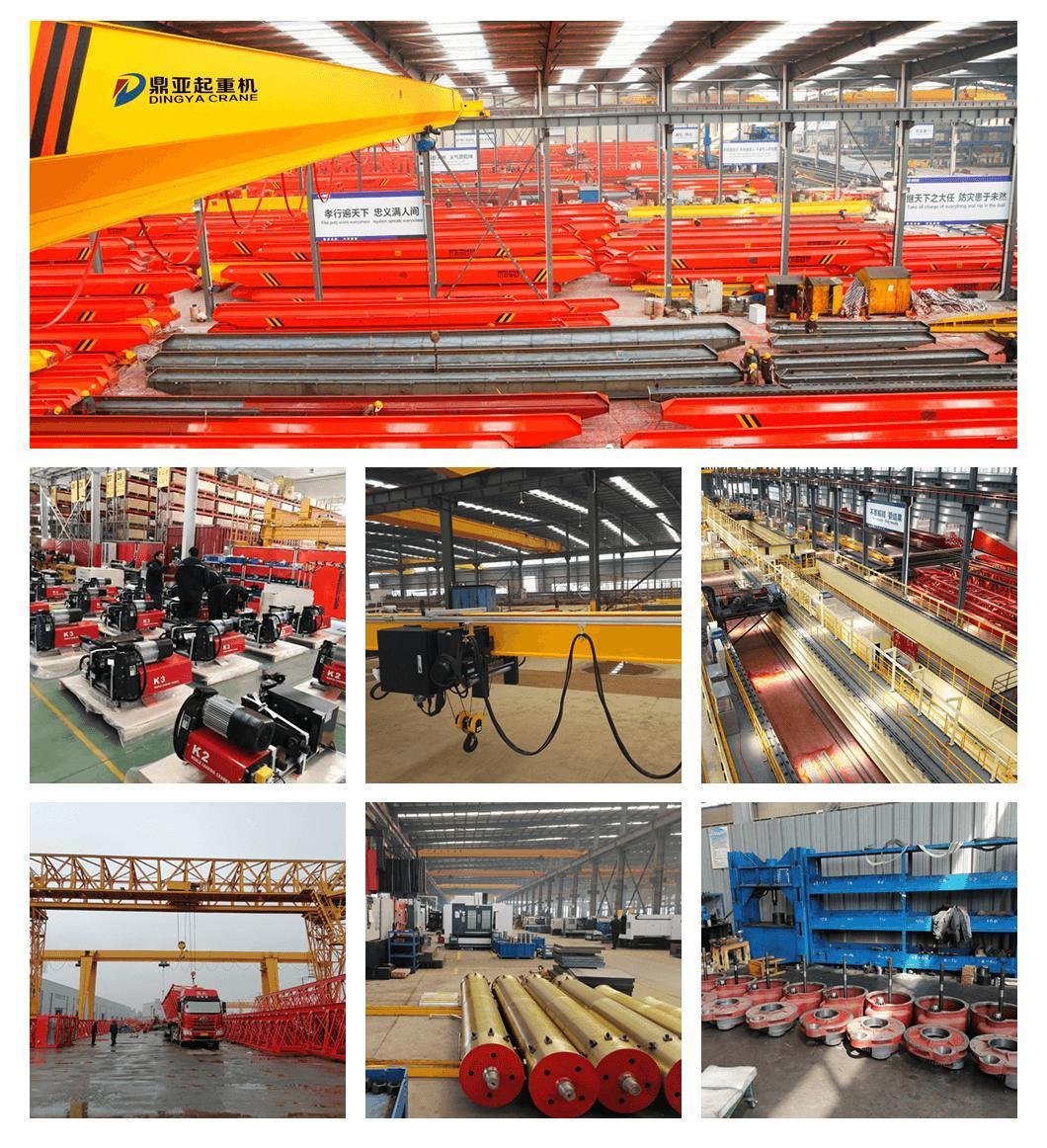 Dy Customized 3ton 12m 220V Electric Wire Rope Crane Hoist