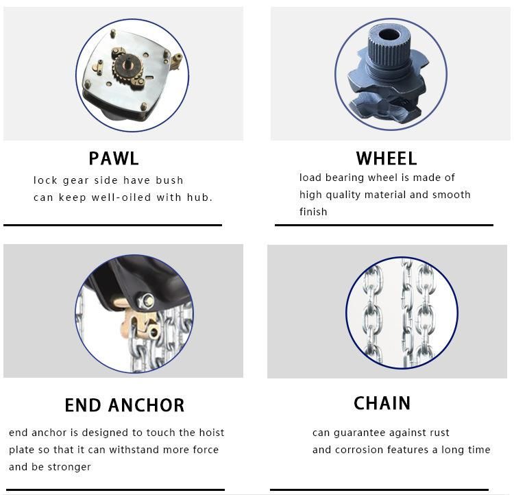 Lifting Chain Hoist 10 Ton Color Customization