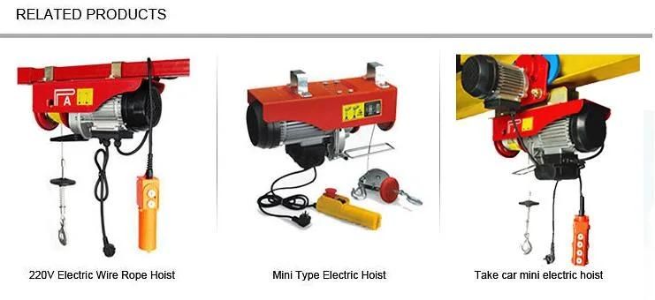 Mini Electric Building Crane Patient Lifting Equipment Wire Rope Electric Hoist