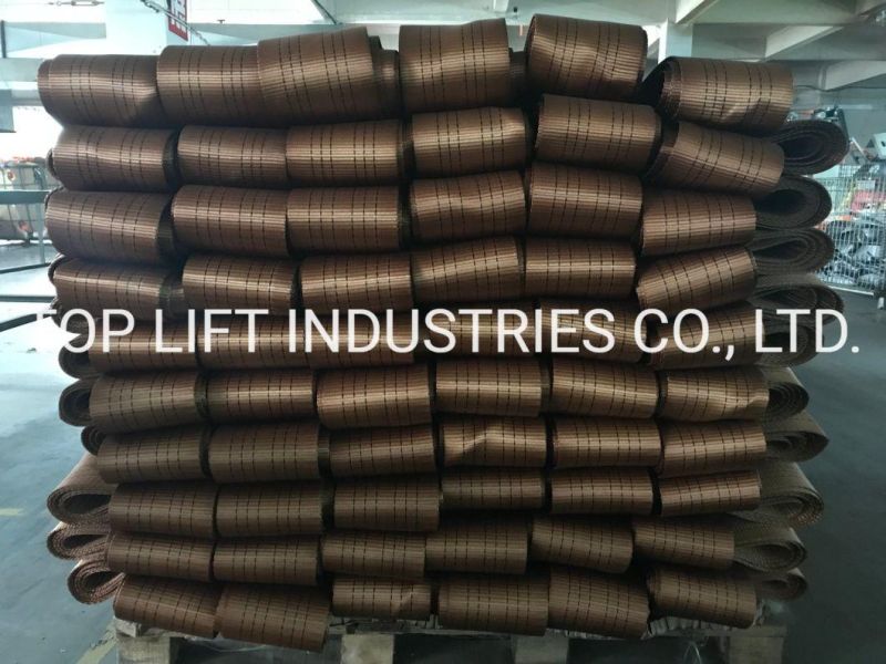 8t Hot-Sales High Tenacity Webbing Type in Industrial Polyester Yarn