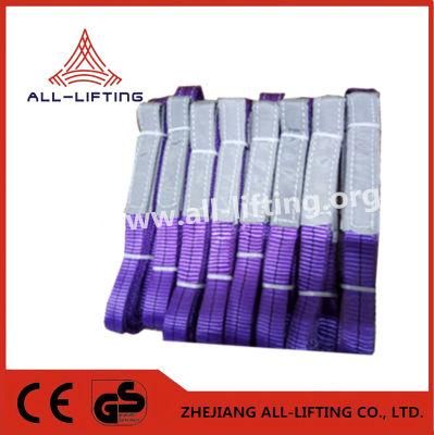 Lifting Polyester Webbing Slings From 1ton to 10 Ton Acc to En1492-1 Manufacturer