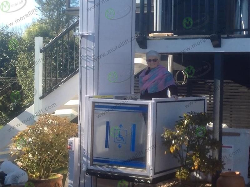 Hot Sale Vertical Model Hydraulic Disabled Wheelchair Lift