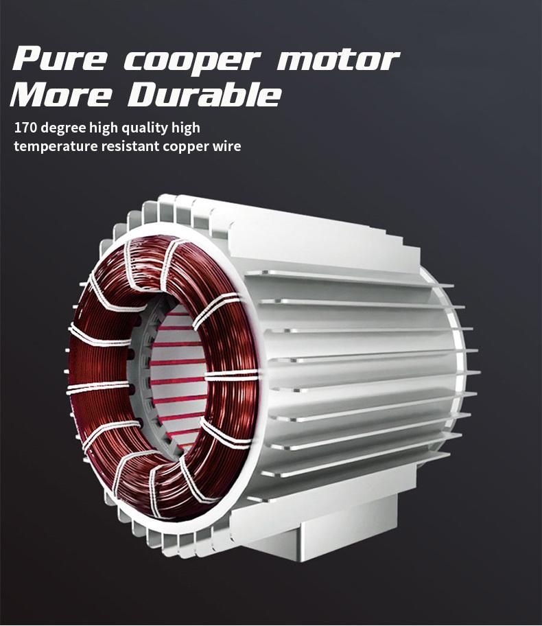 Voltage 220 Single Phase electric Cable Hoist 150/300kg