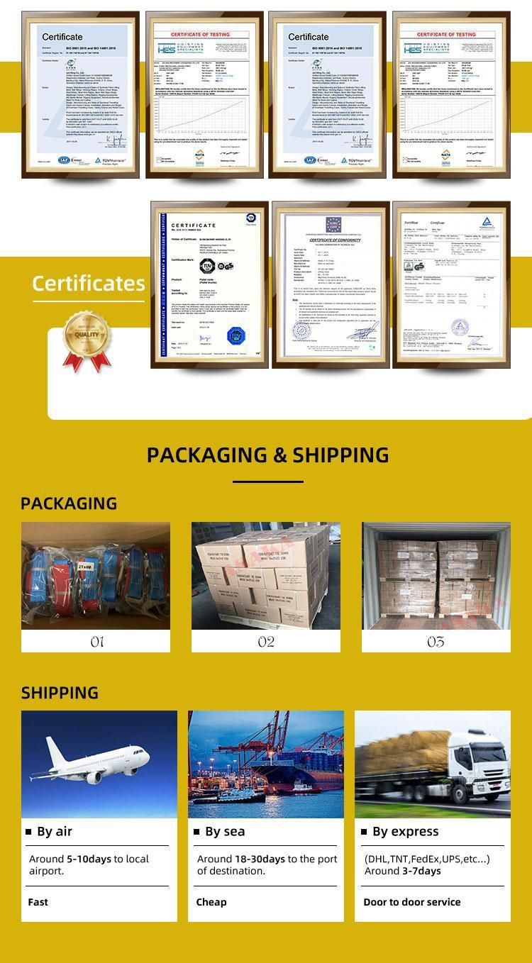CE/GS Certification Polyester Cargo Ratchet Lashing Strap Ratchet Tie Down
