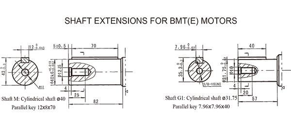 High Output Omt/Bmt Motor 250cc Orbit Motor for Lifting Equipment
