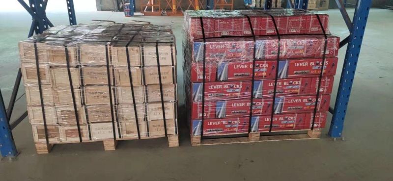 Made in China Va 1.5 Ton*1.5m Chain Lever Pulley System