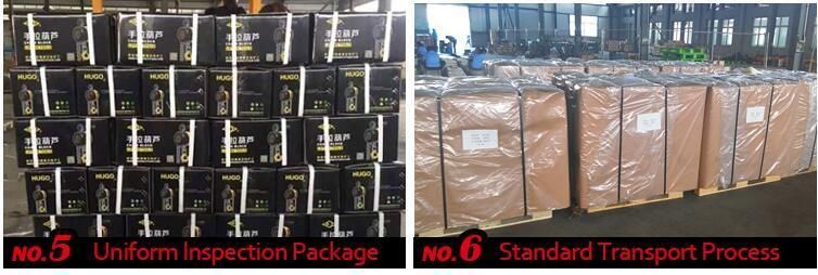 Style Hsz-CD Dual-Bearing Manual Hand Pully Chain Blcok Hoist