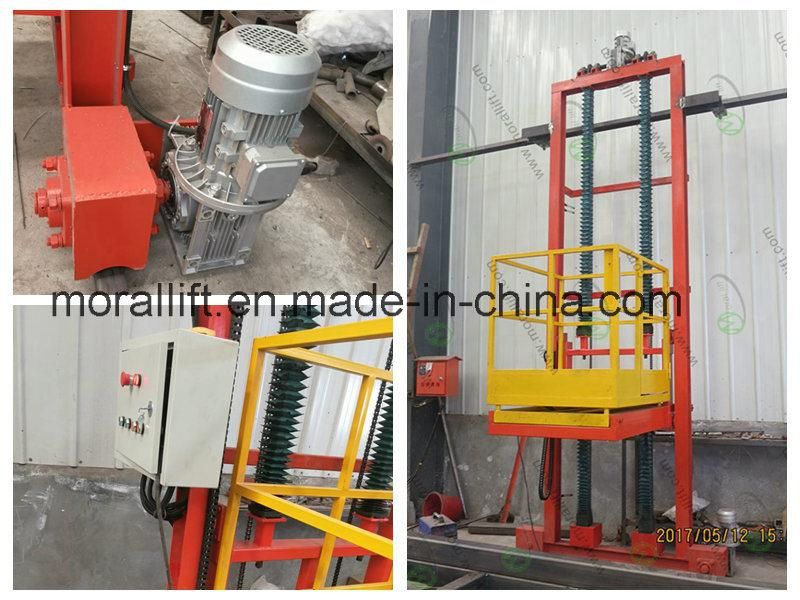 3D Vertical Man lift Electric Platform Lift