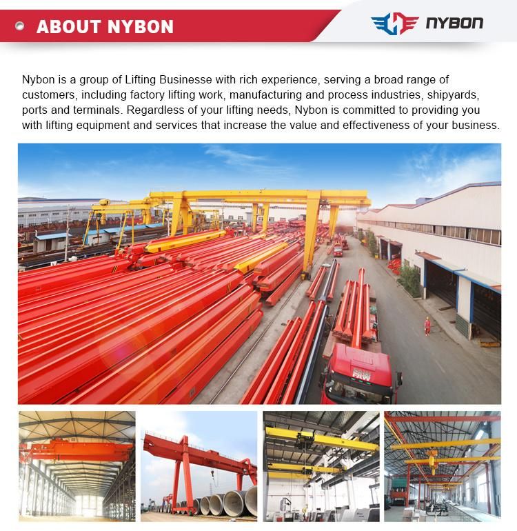 European Type 5 Ton 10 Ton 6m Electric Hoist with Abm Motor and Reducer