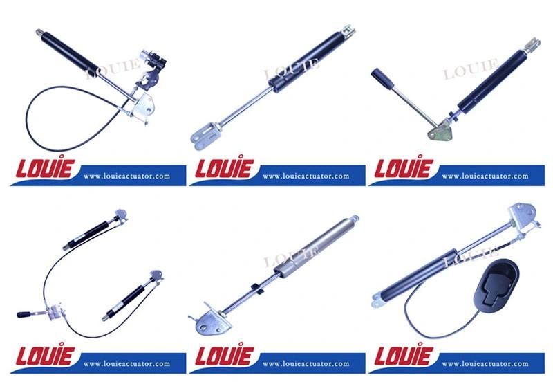Double Controlled Lockable Gas Spring Hot Sale