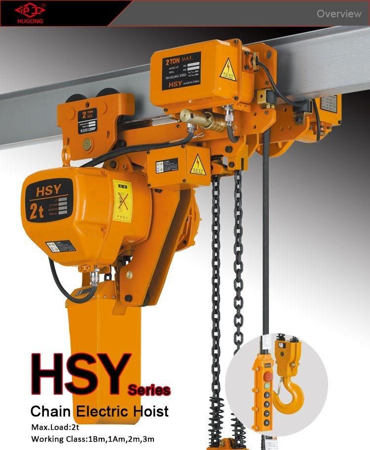 Double Chain Block Electric Hoist for Sale
