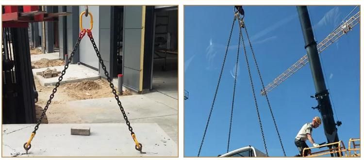 China Factory Industrial Custom Design Chain Sling Hoist Hook