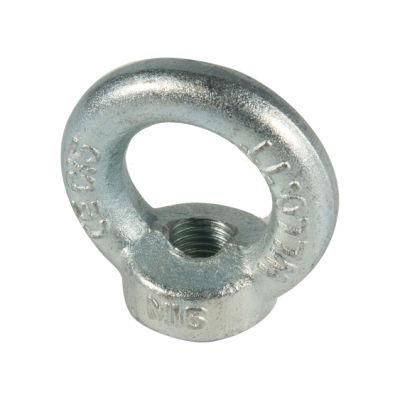 Forged DIN582 Eye Screw Nut of Hardware