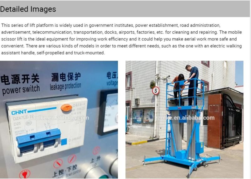 Electric Aluminum Alloy Vertical Mast Lift Vertical Platform Lift Single Mast Aerial Work Platform Manlift