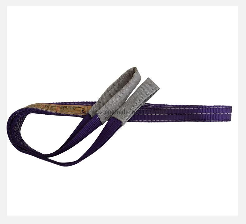 Eb Type En1491 European Standard 100% Polyester Eye to Eye 3ton 5ton 6ton 8ton 10ton Flat Webbing Sling Lifting Belt Lifting Straps Lifting Sling