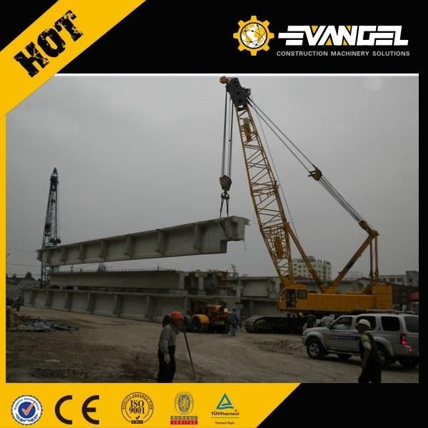China Best Small 55 Ton Crawler Crane (QUY55)