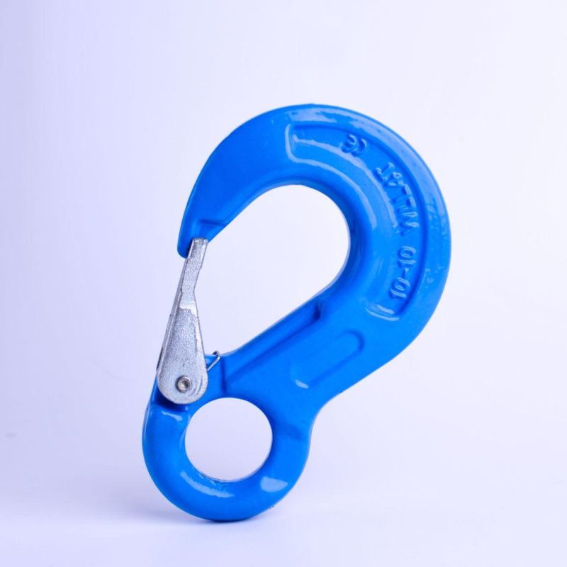 G100 Eye Sling Hook with Latch