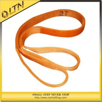 Light Lifting Equipment Webbing Sling&amp; Elastic Webbing (NHWS-B)