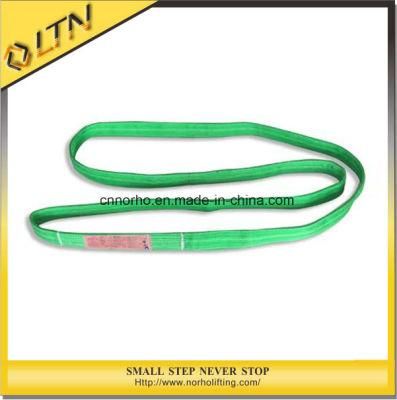 Ce GS TUV Standard Polyester for Lifting Flat Webbing Sling (NHWS-B)