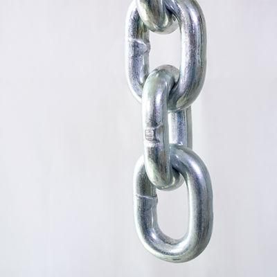 High Quality safety Cargo Tie Down Hook Galvanized Chain G80