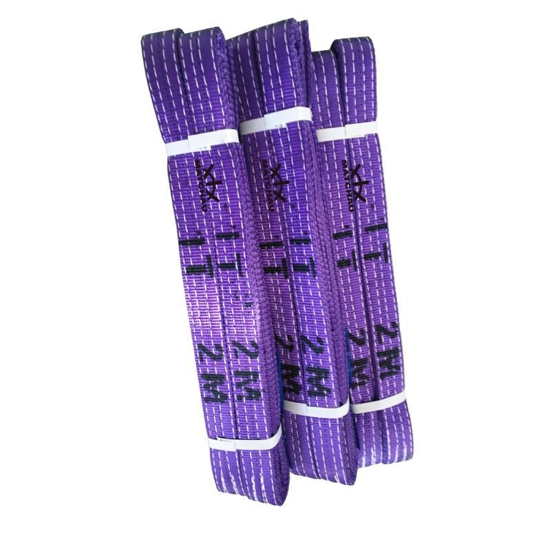 Thermal Resistant Polyester Flat Belt Type Color Code Webbing Sling for Crane