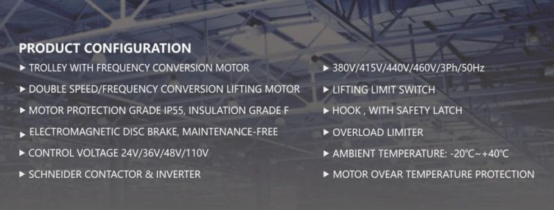 Dual Speed Low Headroom 30 Ton Electric Wire Rope Hoist