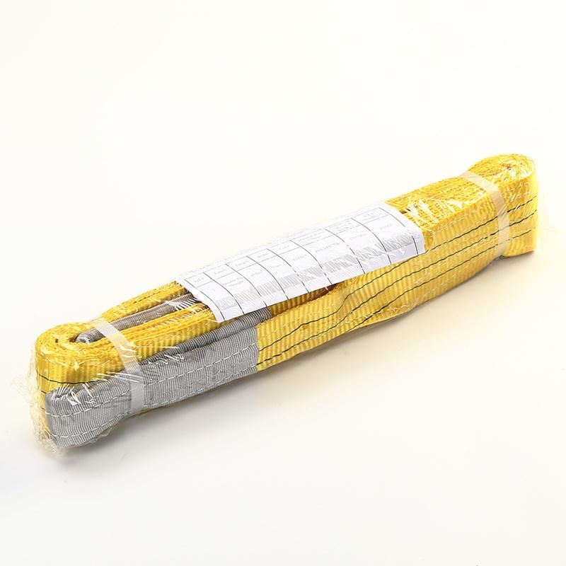 2t Eye-Eye Polyester Flat Woven Duplex Industrial Lifting Webbing Sling Belt