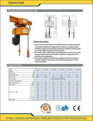 Electric Chain Hoist Remote Control 0.5 Ton to 5 Ton