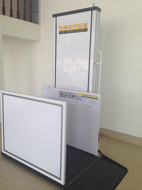 350kg High Quality Disabled Platform Lift