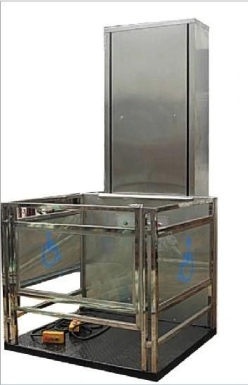 Hydraulic Disabled Wheelchair Lift for Home