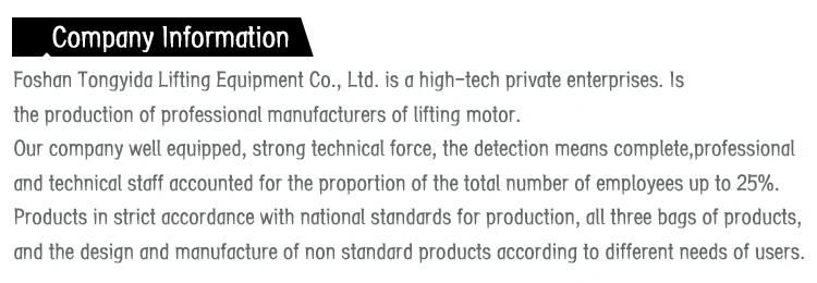 Vital Type of Chain Block with G80 Chain High Quality Chain Hoist 1ton to 20ton