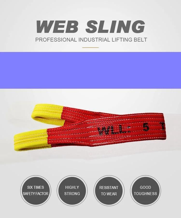High Tenacity Polyester Webbing Container Sling Fiber Rope Sling