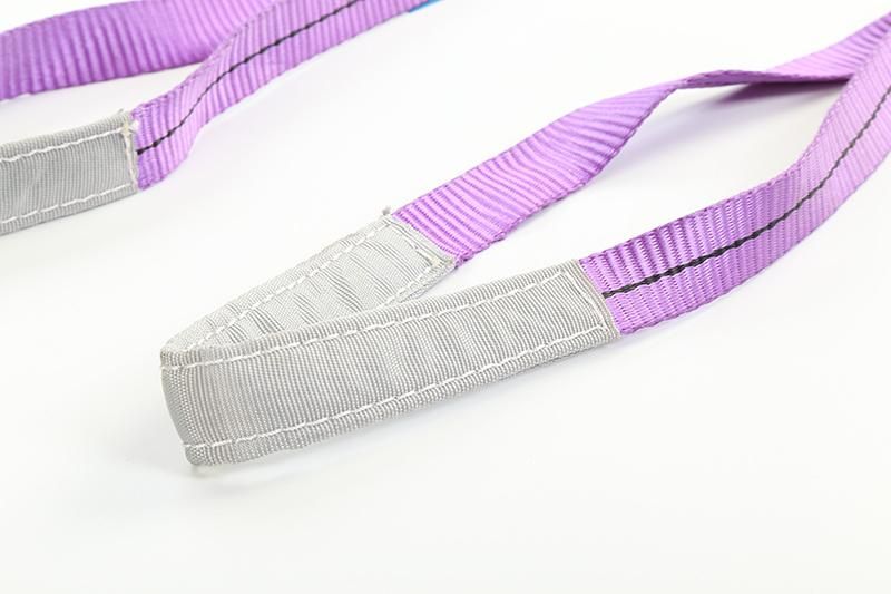 1t Double Flat Eye to Eye Lifting Belt Polyester Webbing Sling