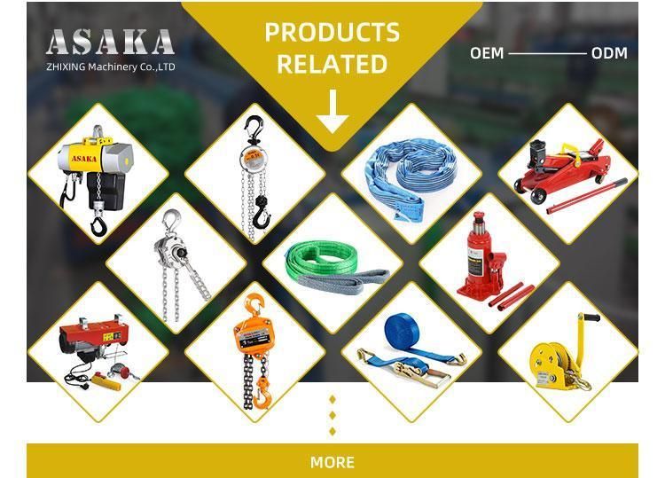 China Manufacturer Chain Pulley Block Manual Hand Chain Block/Chain Hoist