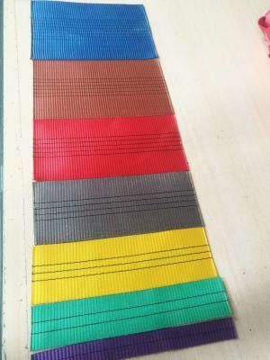 Webbing Material for Sling According to En1492 CE GS Approved