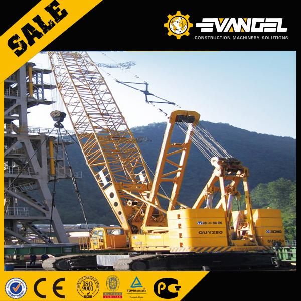 China Best Crawler Crane Quy300