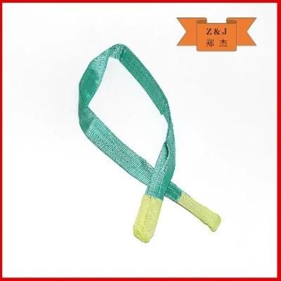 Lifting Flat Webbing Sling with 100% Polyester (NHWS-B) 2t 6m