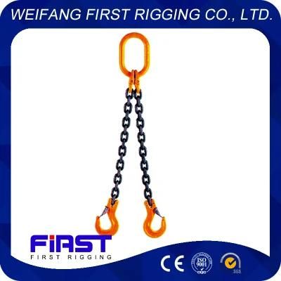 Lifting Chain Sling with Two Legs