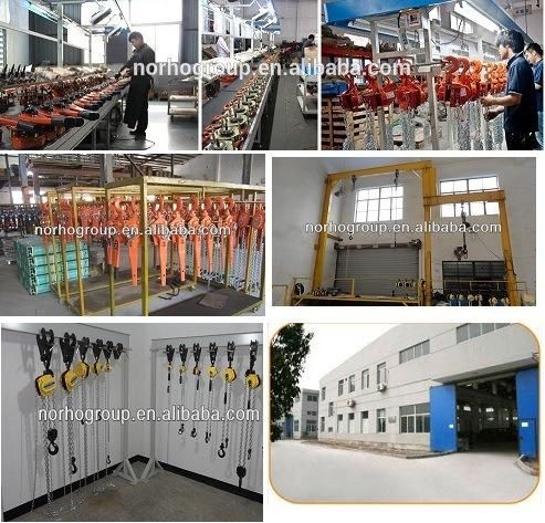Portable Car Lift Car Hoist for Sale