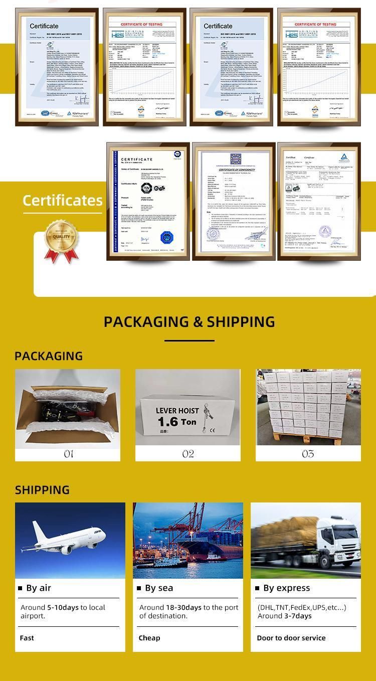 China Manufacturer Chain Pulley Block Manual Hand Chain Block/Chain Hoist