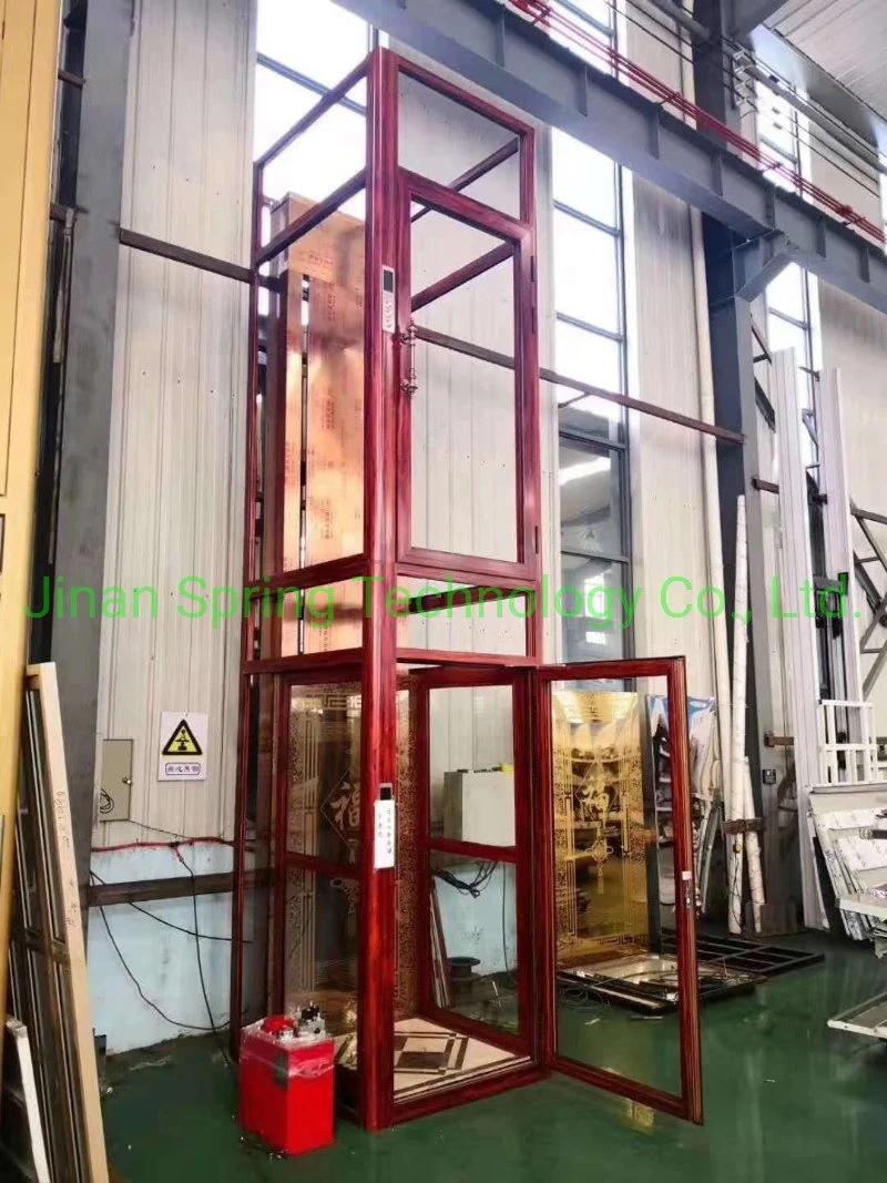 Home Elevator/Disable Lift with Good Quality