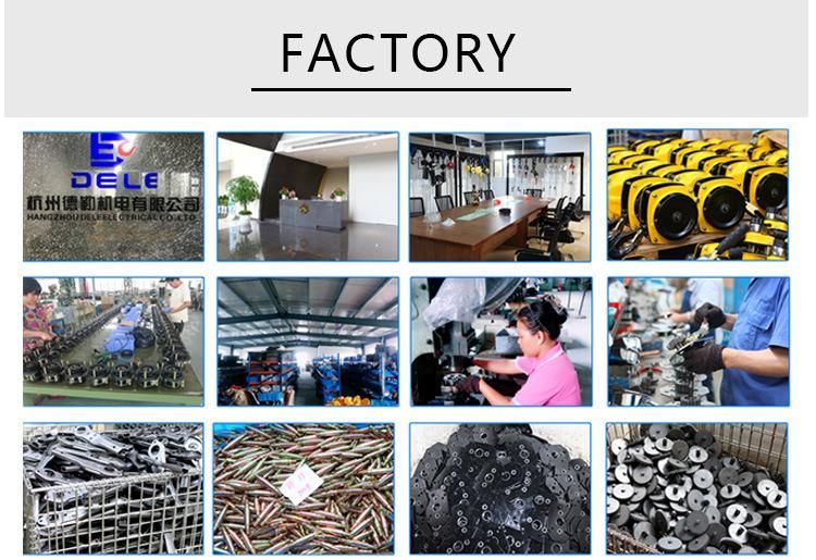 Lifting Chain Hoist 10 Ton Color Customization