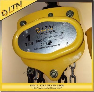 95 Countries Choosing High Quality Lifting Chain Hoist (CH-WB)