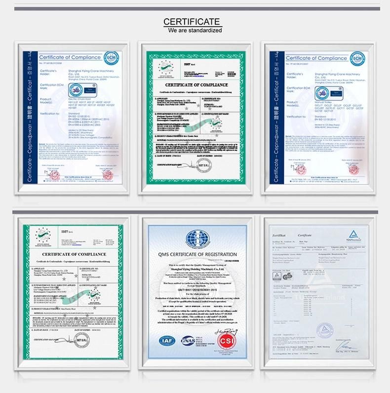 China Manufacturer High Quality Building Material Steel Lifting Hoist