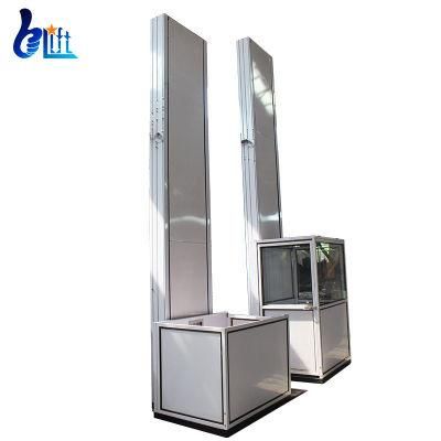 Home Use Passenger Elevator Two People Wheelchair Lift for Handicap