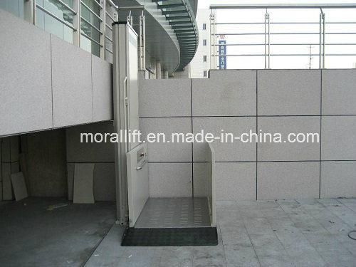 Elevator for Wheelchair Lift with High Quality and Cheap Price