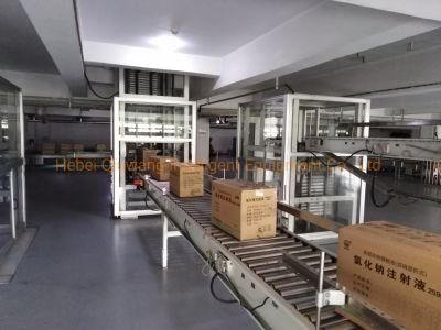 3m, 5m, 8m Customerized Carton Lifting Conveyor