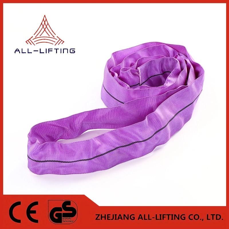 1 Ton X 10 Metre Round Webbing Sling, Single Sleeve Endless in Purple