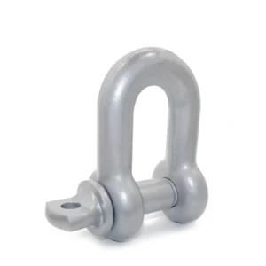 D Ring Swivel Shackle